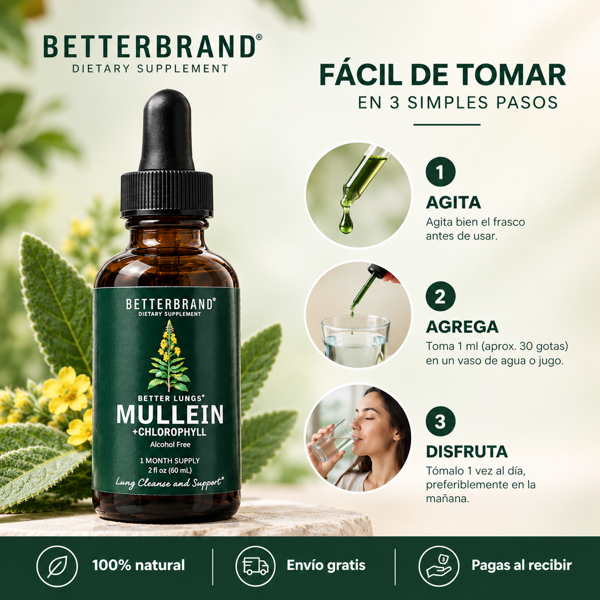 Gordo Lobo + Clorofila 60ml | Rutina natural para aliviar y limpiar tus pulmones