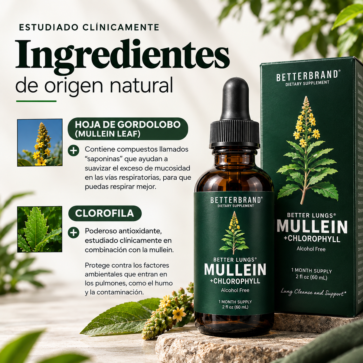 Gordo Lobo + Clorofila 60ml | Rutina natural para aliviar y limpiar tus pulmones