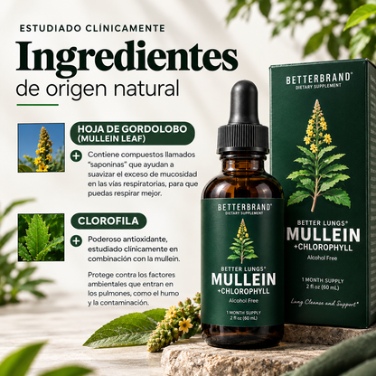 Gordo Lobo + Clorofila 60ml | Rutina natural para aliviar y limpiar tus pulmones